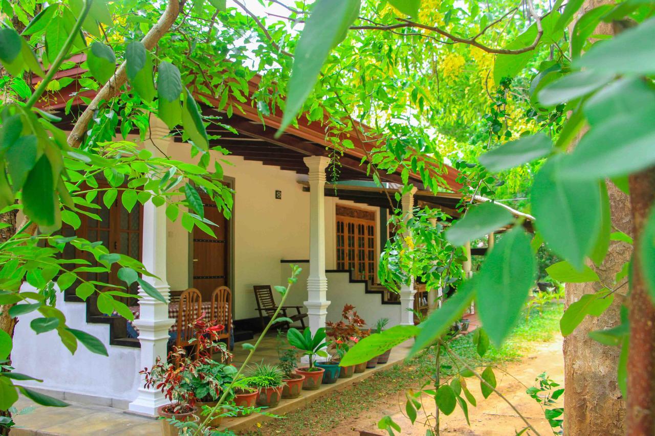 Sigiri Anu Homestay Sigirija Zewnętrze zdjęcie